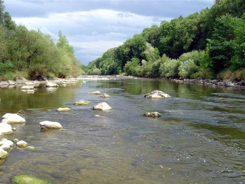 Vereinsgewässer des FV Weinfelden – Bild 1