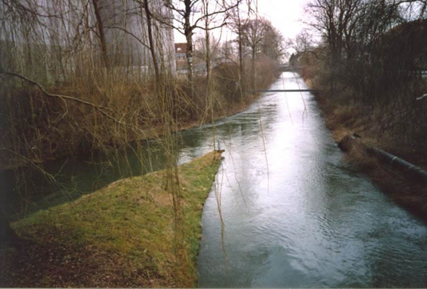 Vereinsgewässer des FV Weinfelden – Bild 2